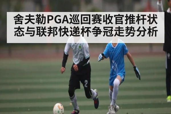 舍夫勒PGA巡回赛收官推杆状态与联邦快递杯争冠走势分析（LEYU SPORTS）